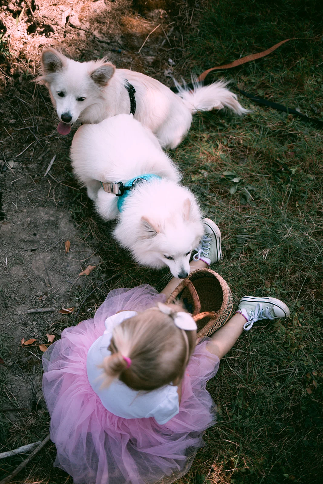 Hazel Three 019.jpg