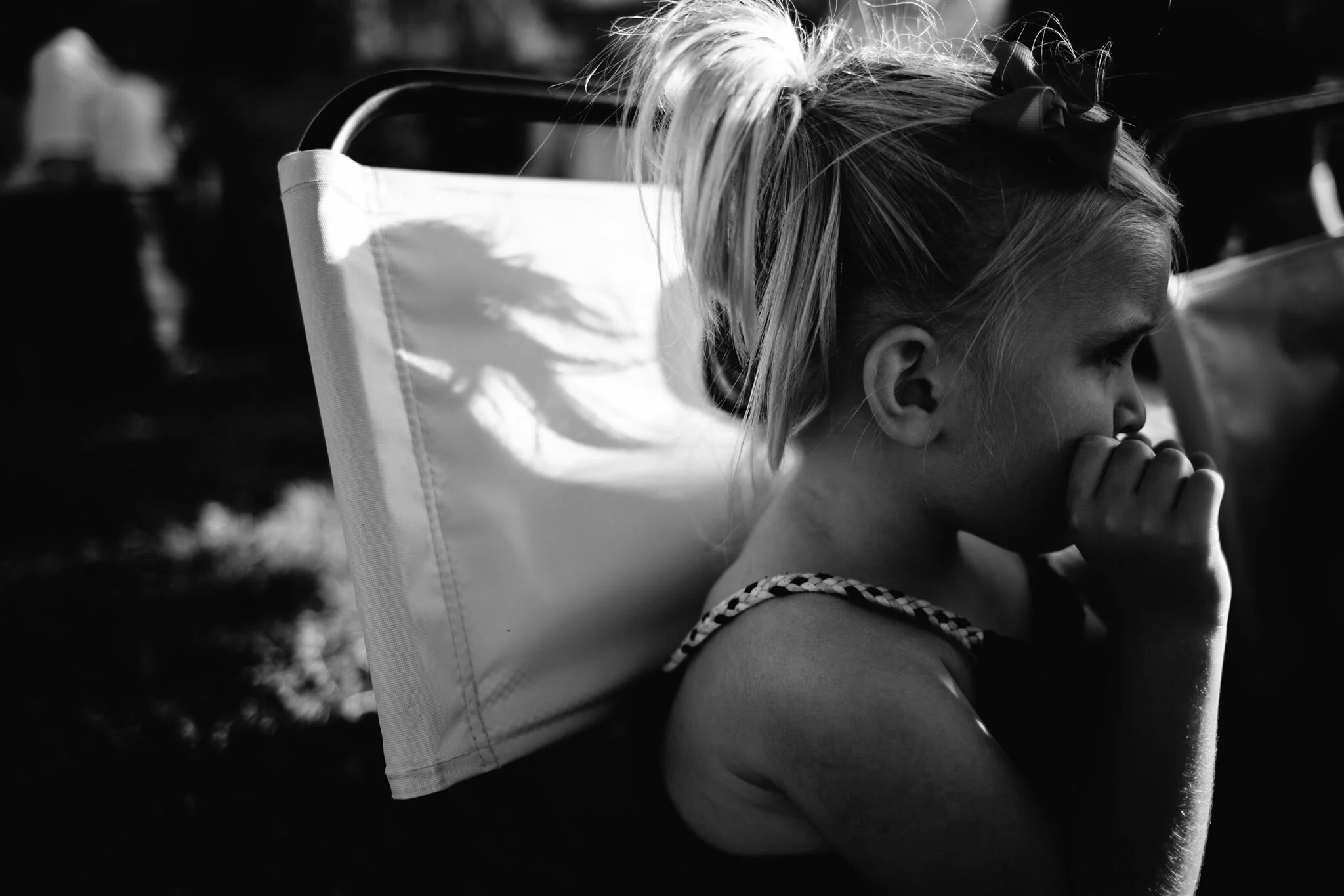 Sauvie Island Concert Carnival