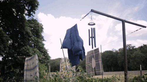 Salem, Oregon Greenhouse Wedding Celebration