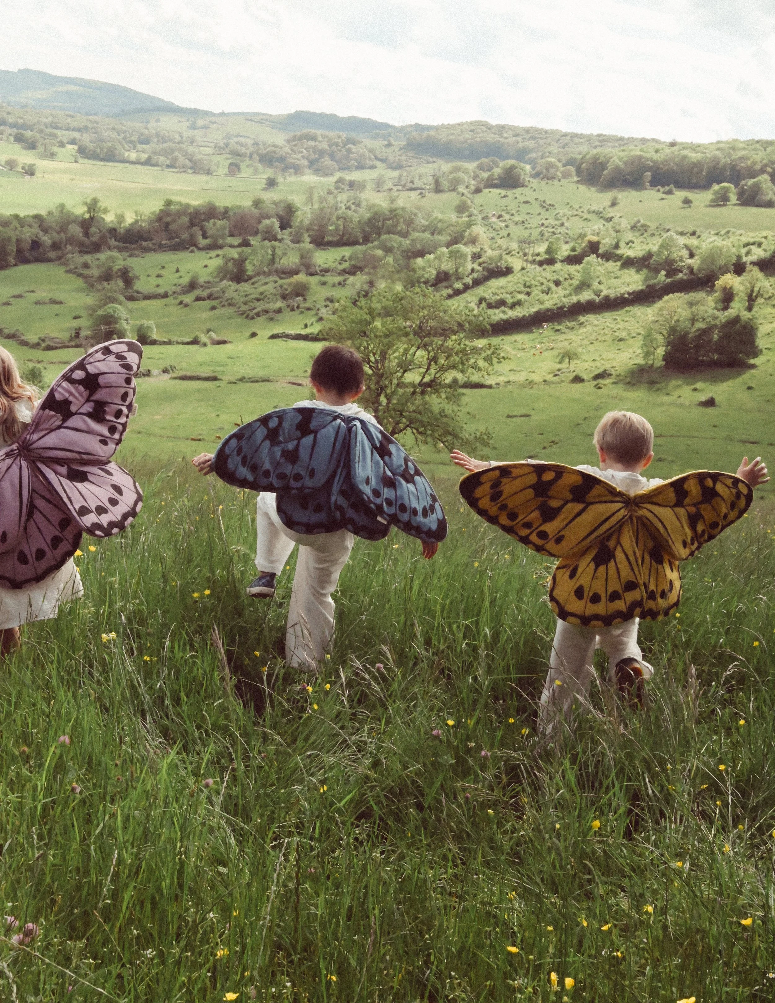 LUÈKIDS_butterfly wings_2.jpg