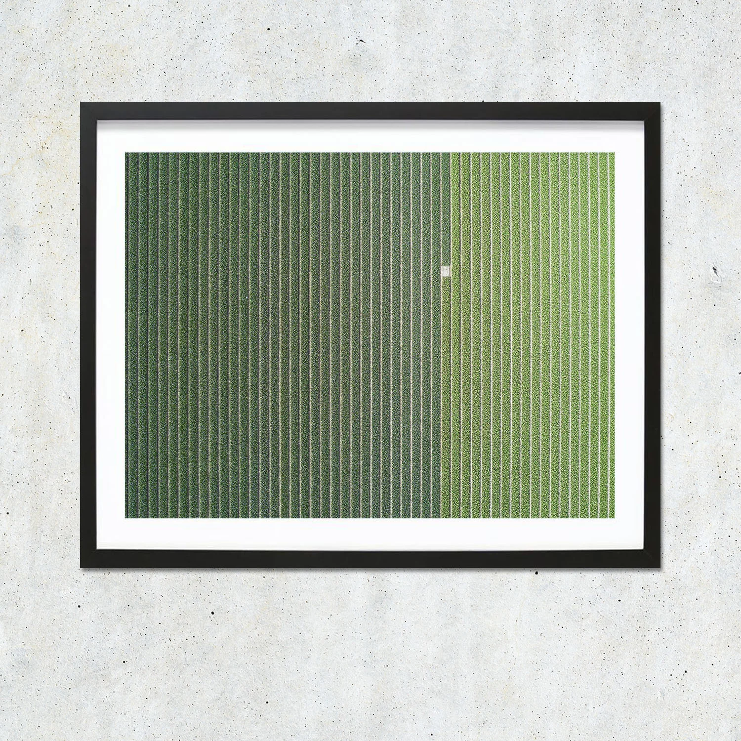Fields_01_neu.jpg