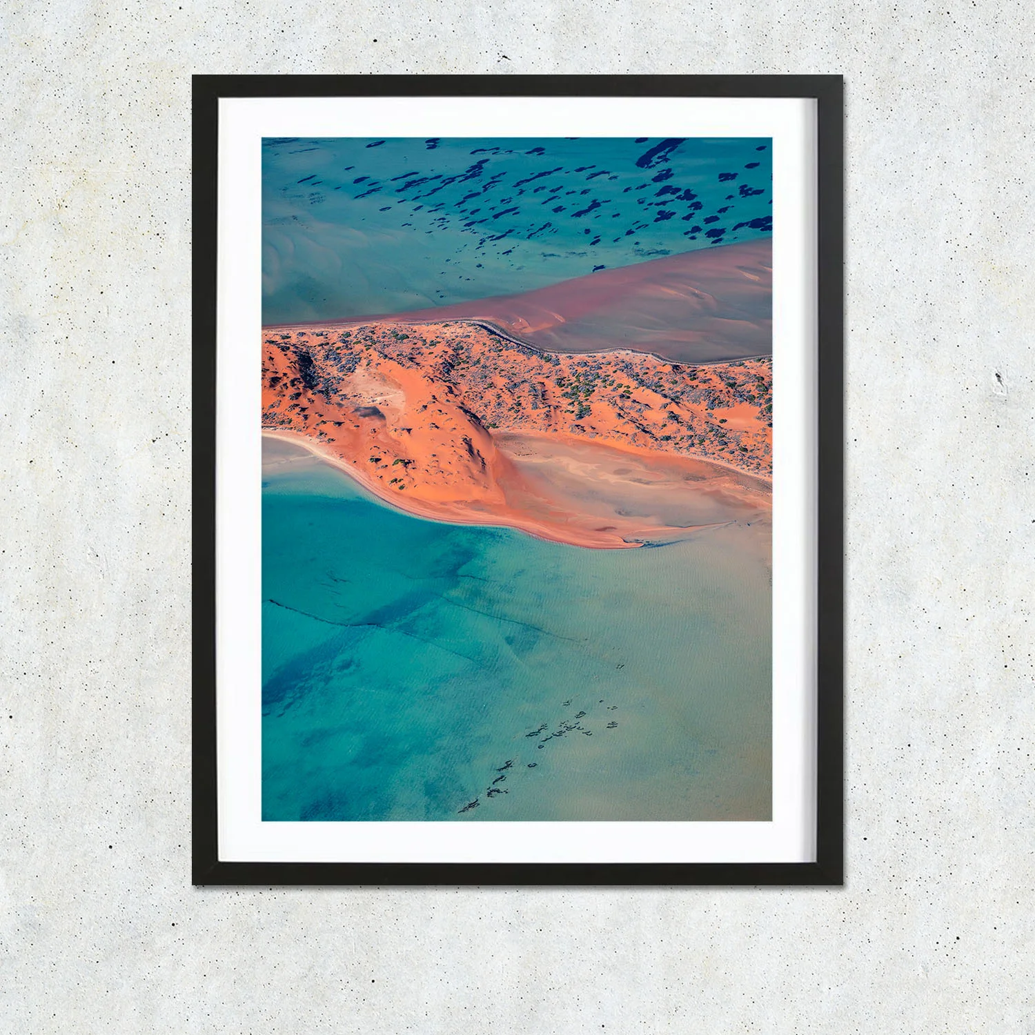 Shark Bay_01.jpg