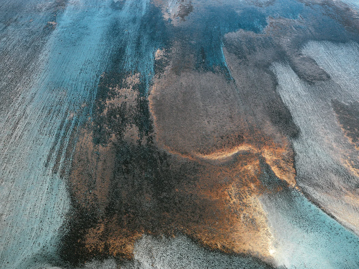 Tropical_Reefs_4.jpg
