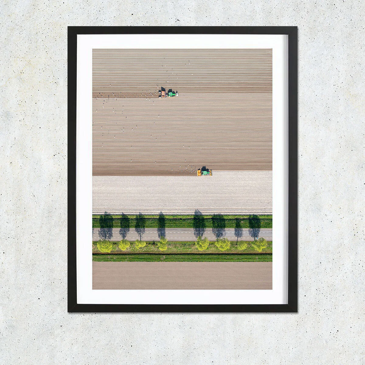 Harvest-Times_4.jpg