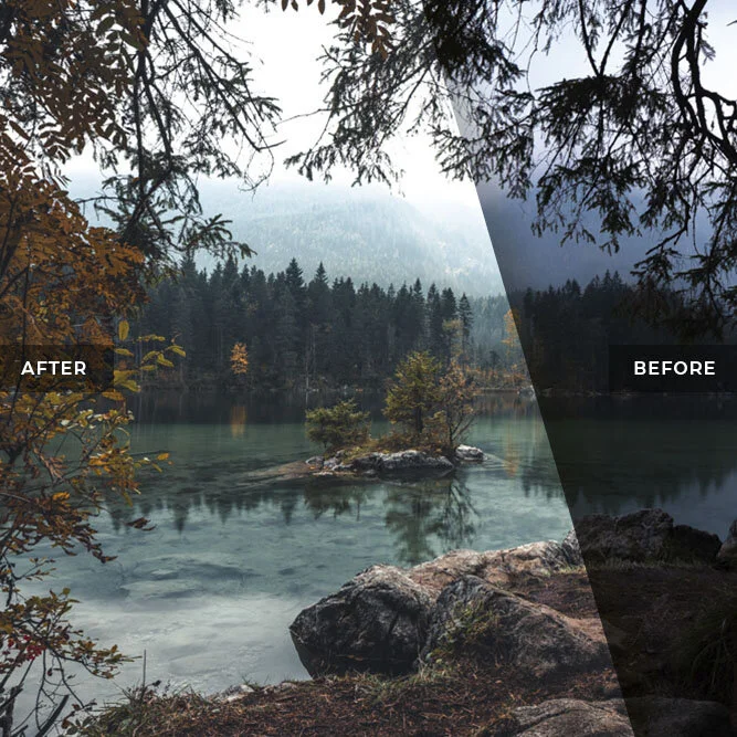 Moody Forest and Lake view