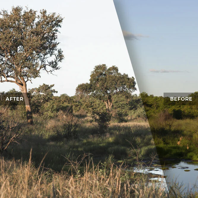 Safari Landscape in Africa