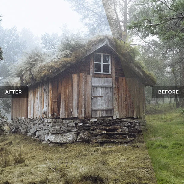 Moody Wooden Cabin in the Forest