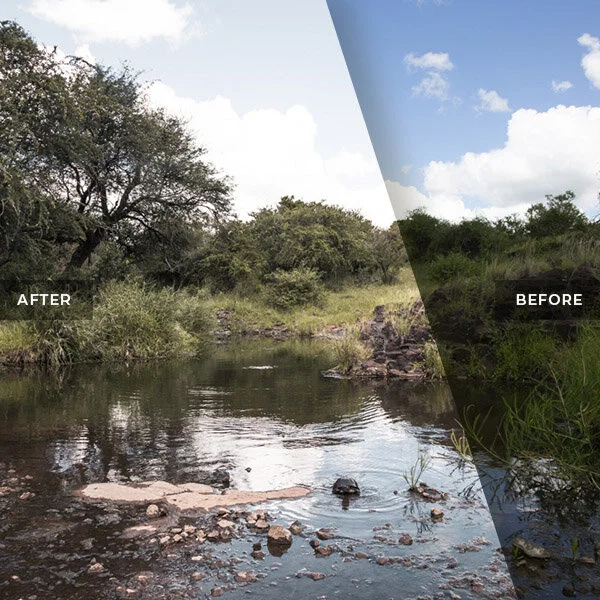 Safari Water Pond in Africa