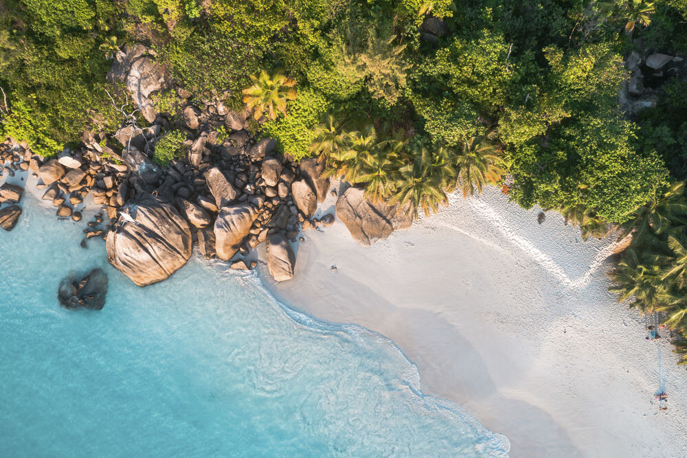 Lonely Beach with Palms and Rocks - Drone Aerial Photography