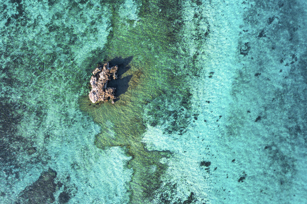 Drone Photo of Beautiful Reef System with Rock