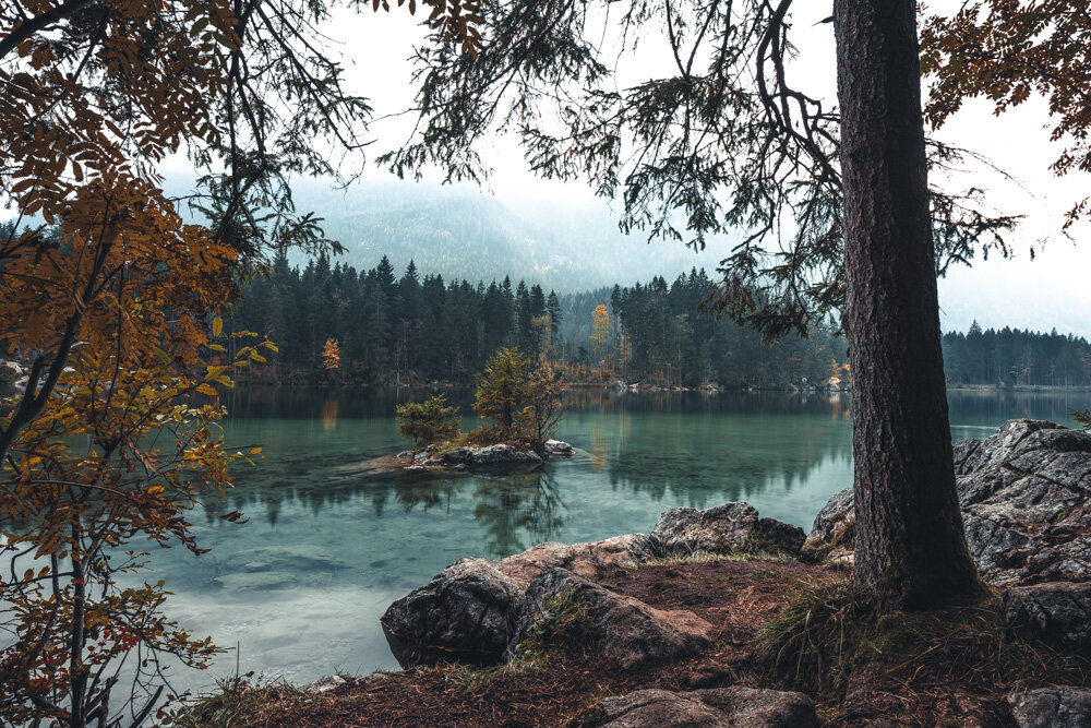 Dramatic Forest and Lake covered in Autumn Colors