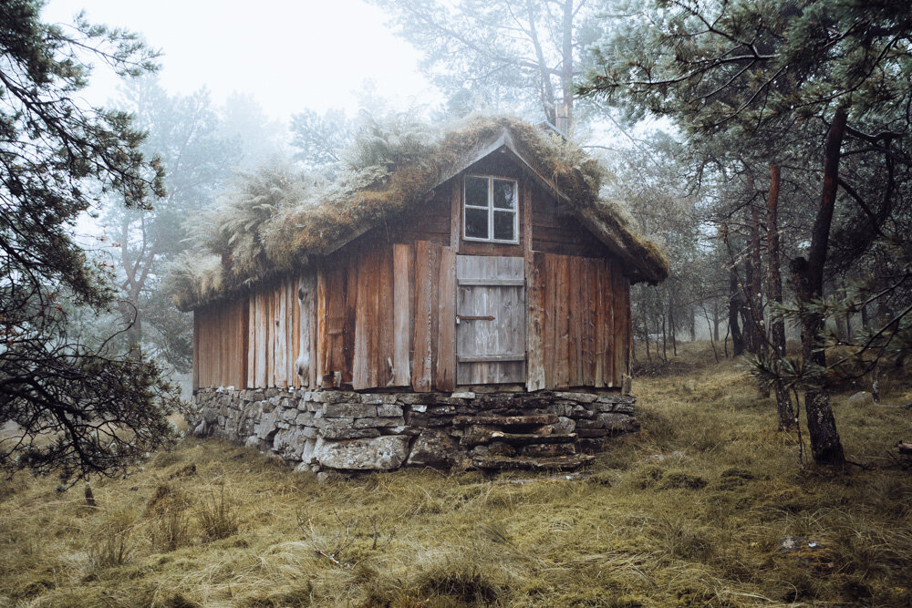 Moody Wooden Cabin in the Forest
