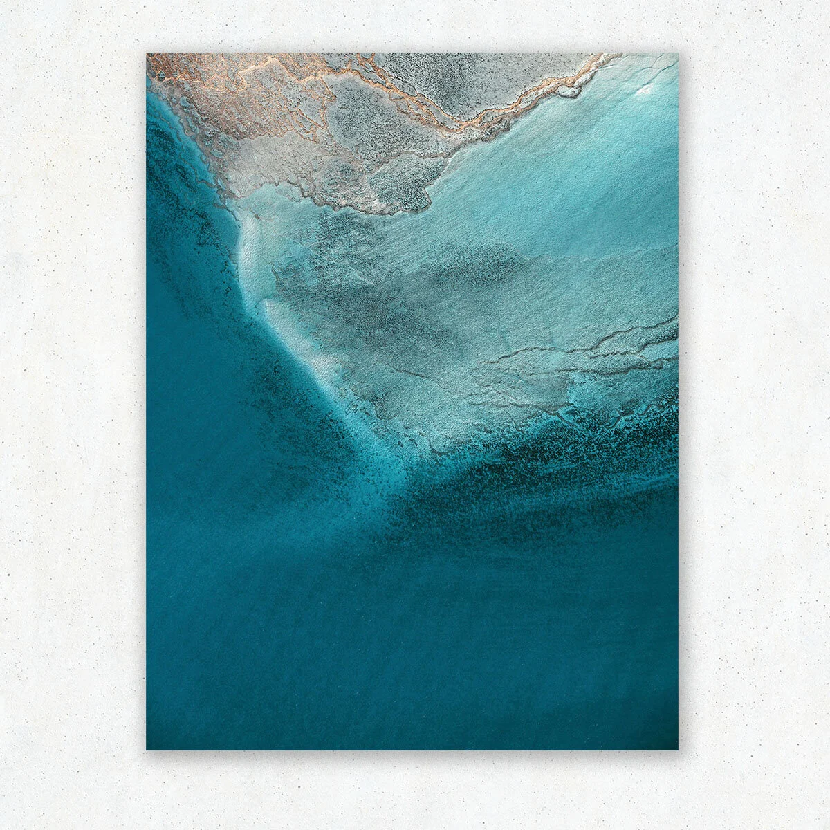 Fading-Corals_1.jpg