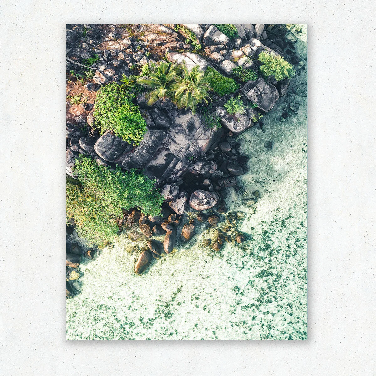 Tropical_Dream_1.jpg