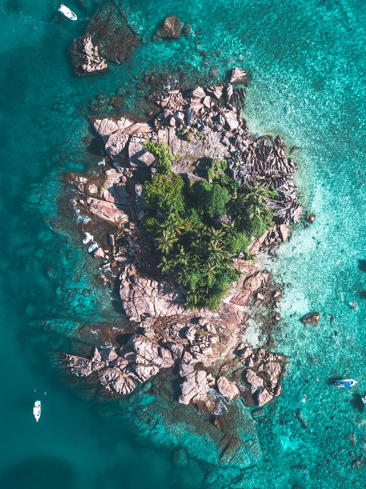 Endangered Paradise_2.jpg