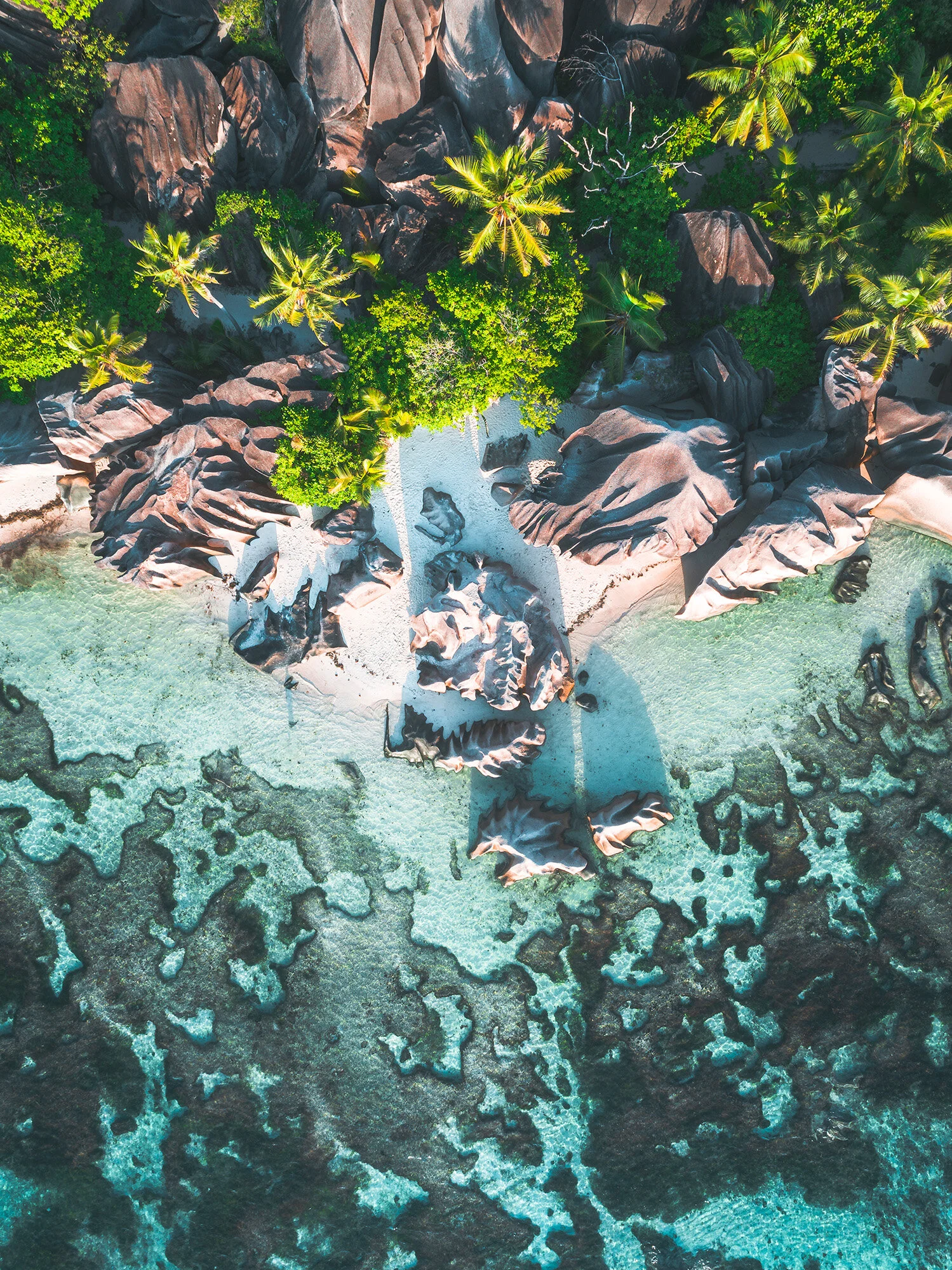 Coral-Coast_2.jpg