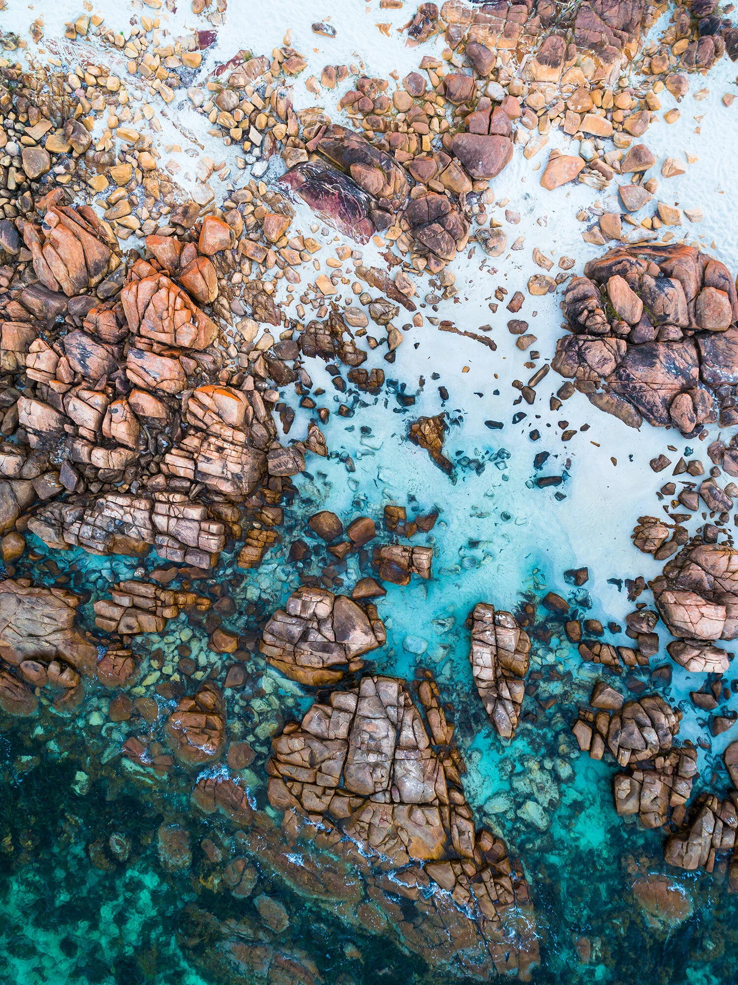 Natures_Colors_2.jpg