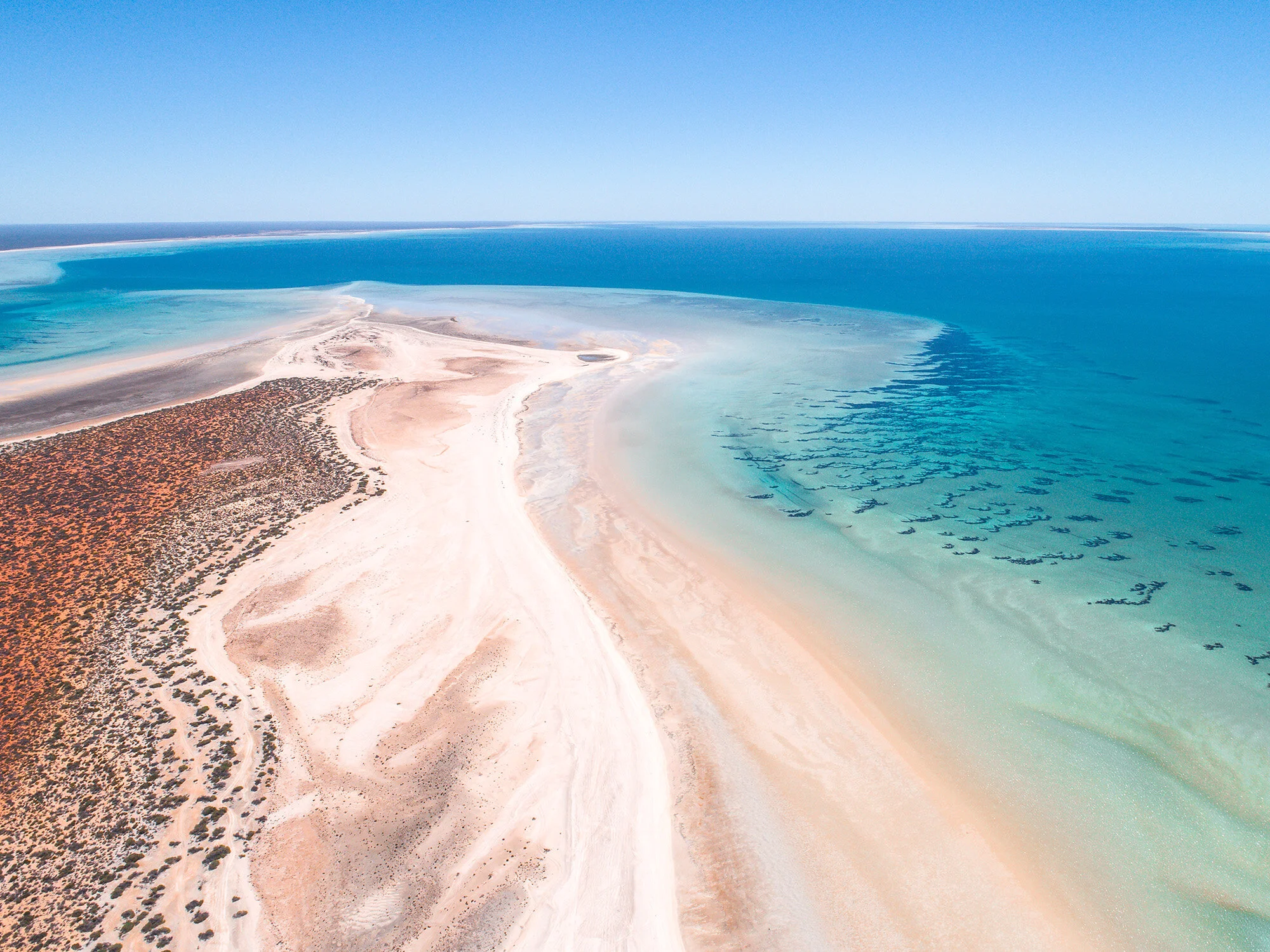 Shelly_Beach_1.jpg