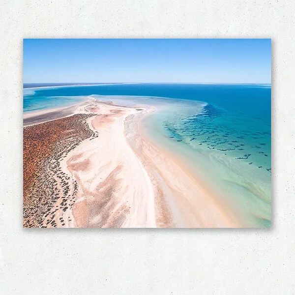 Shelly_Beach_2_low.jpg