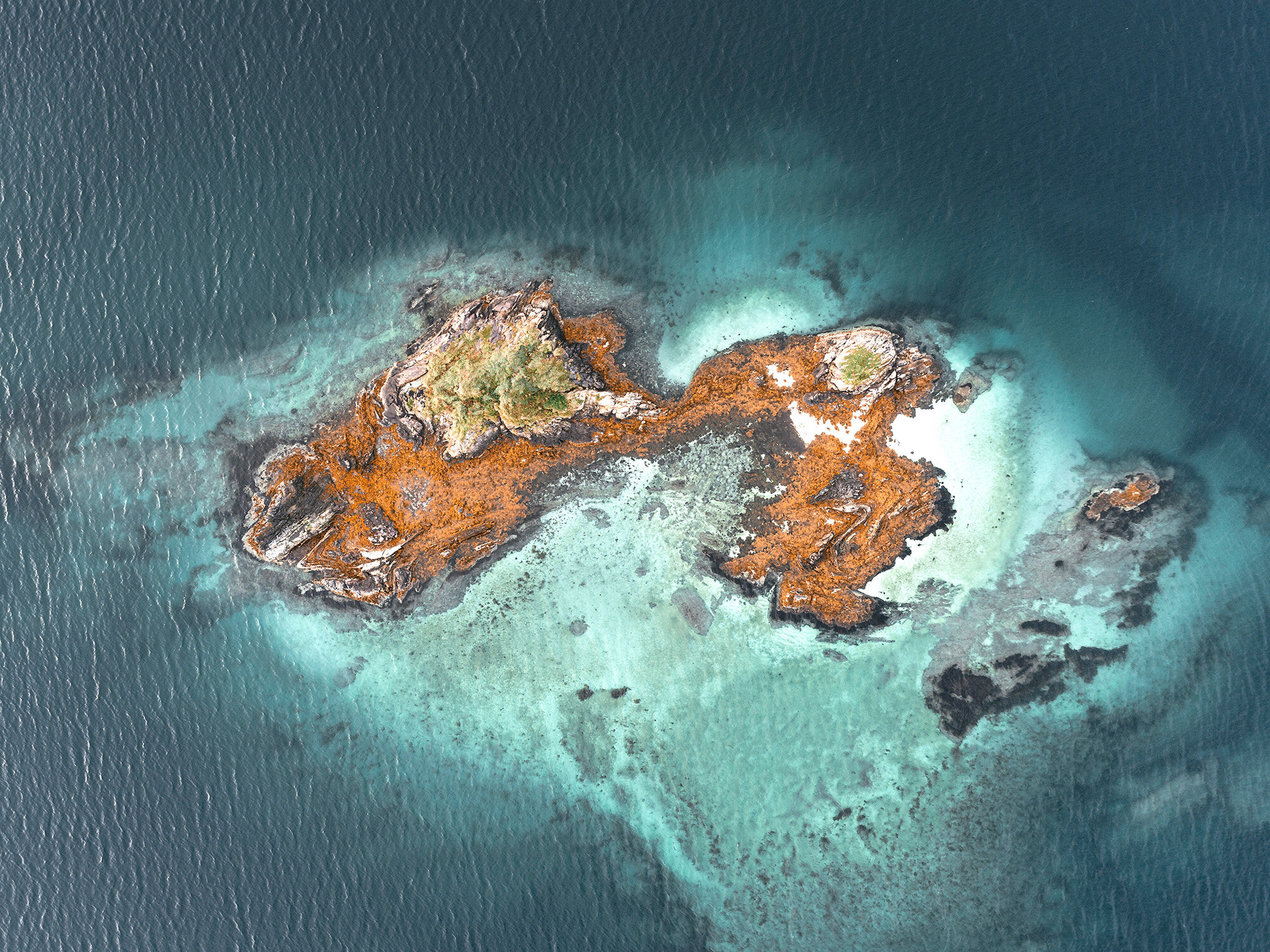 Nordic-Caribbean_1.jpg