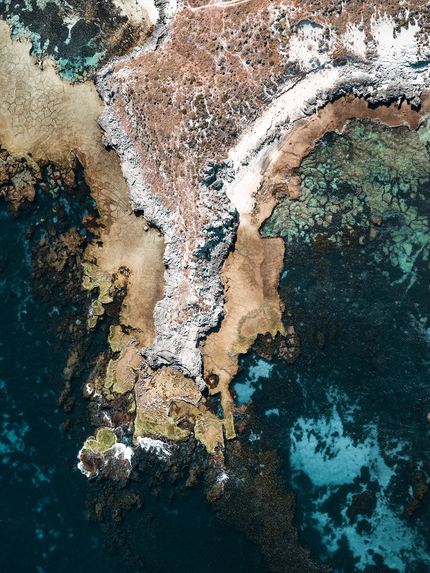 Coral-Island_2.jpg