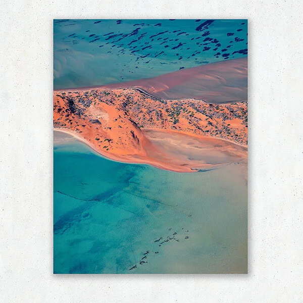 Shark-Bay_1_low.jpg