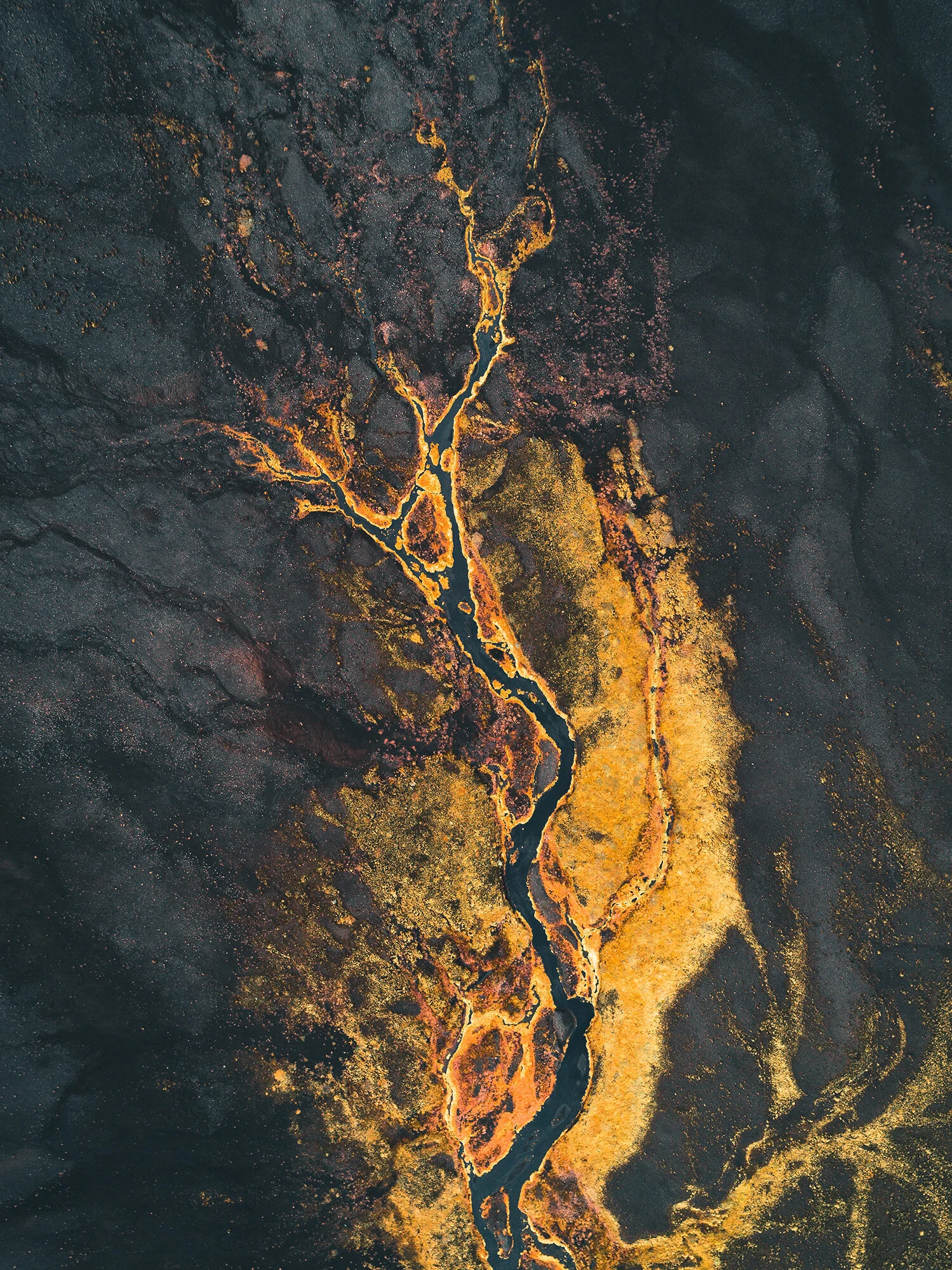 Volcano_Tree_2.jpg