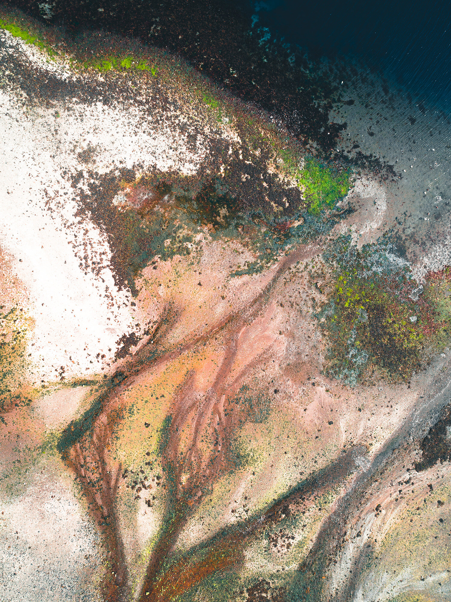 Earth_Veins_2.jpg