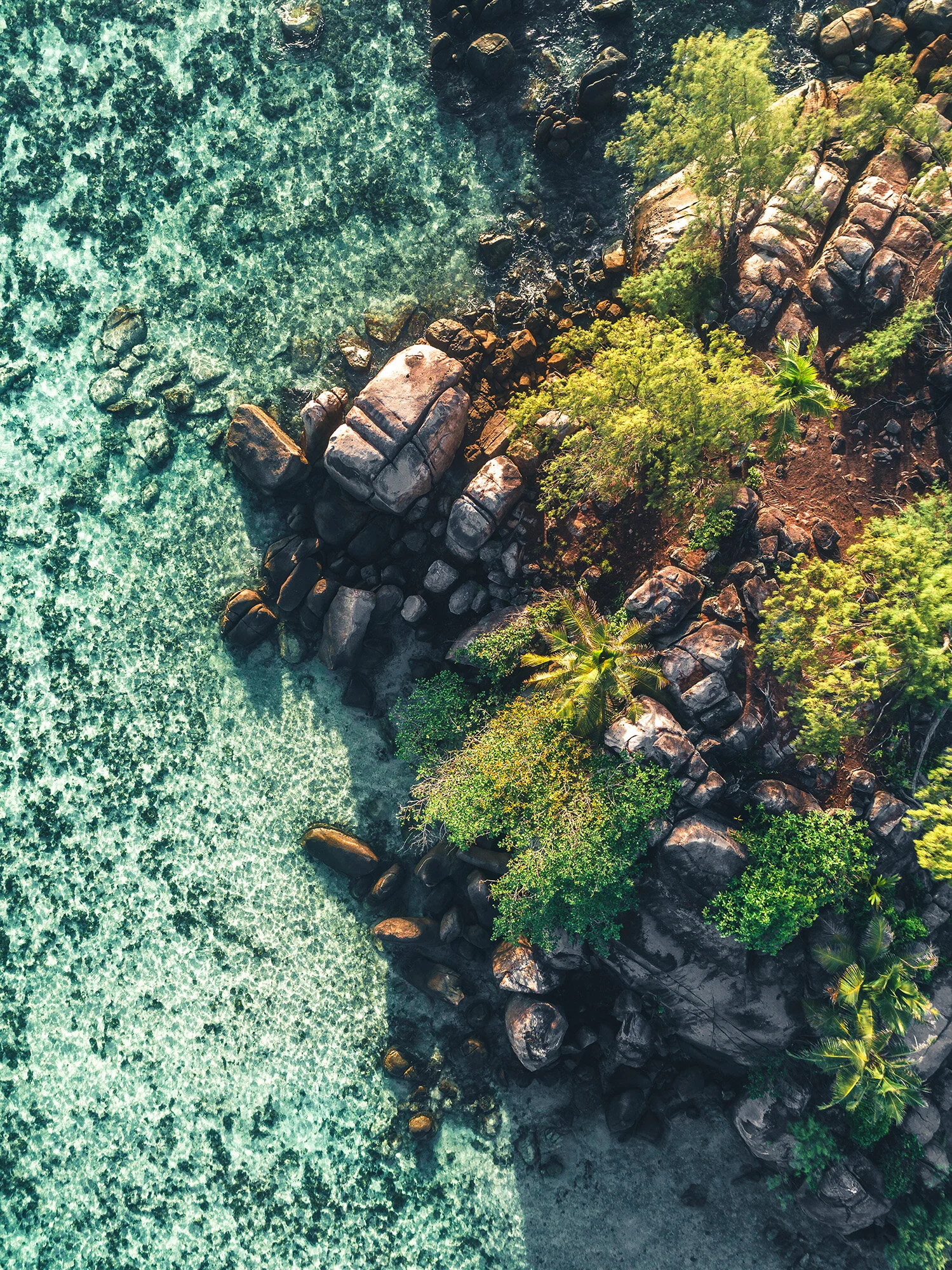Tropical-Breeze_2.jpg