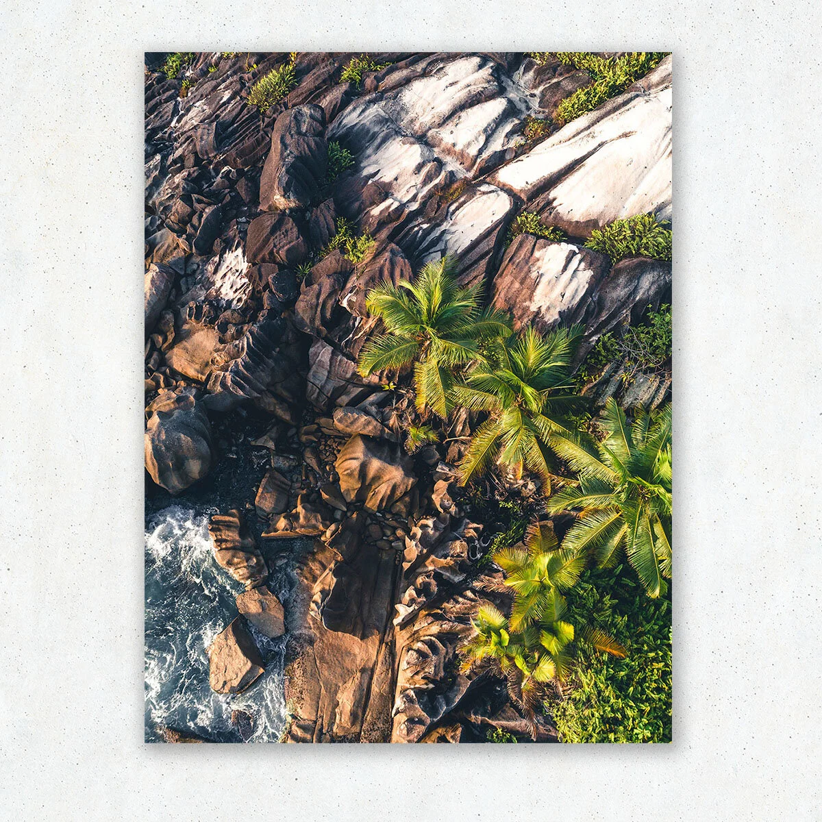 Rocks-and-Palms_1.jpg