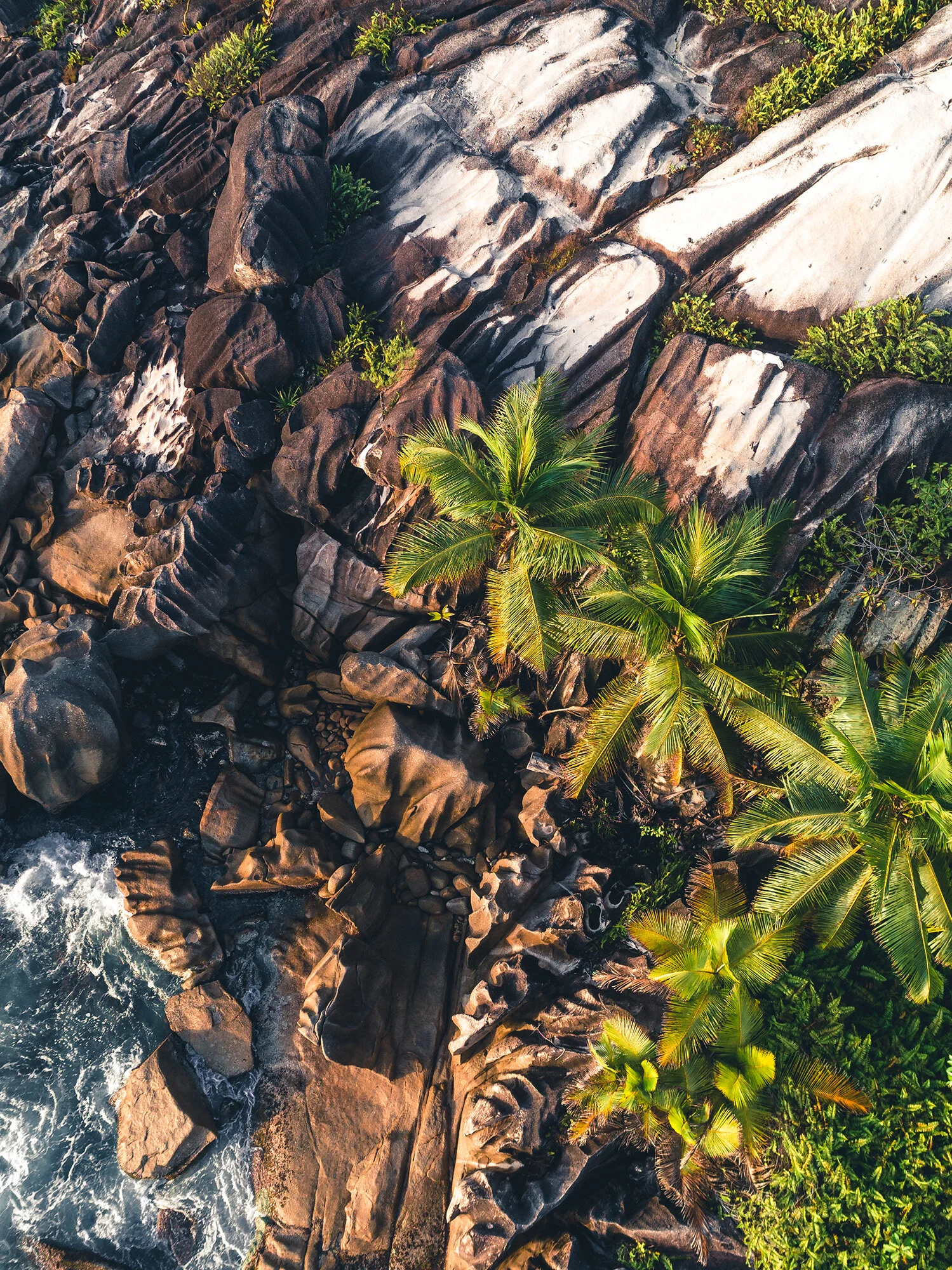 Rocks-and-Palms_2.jpg