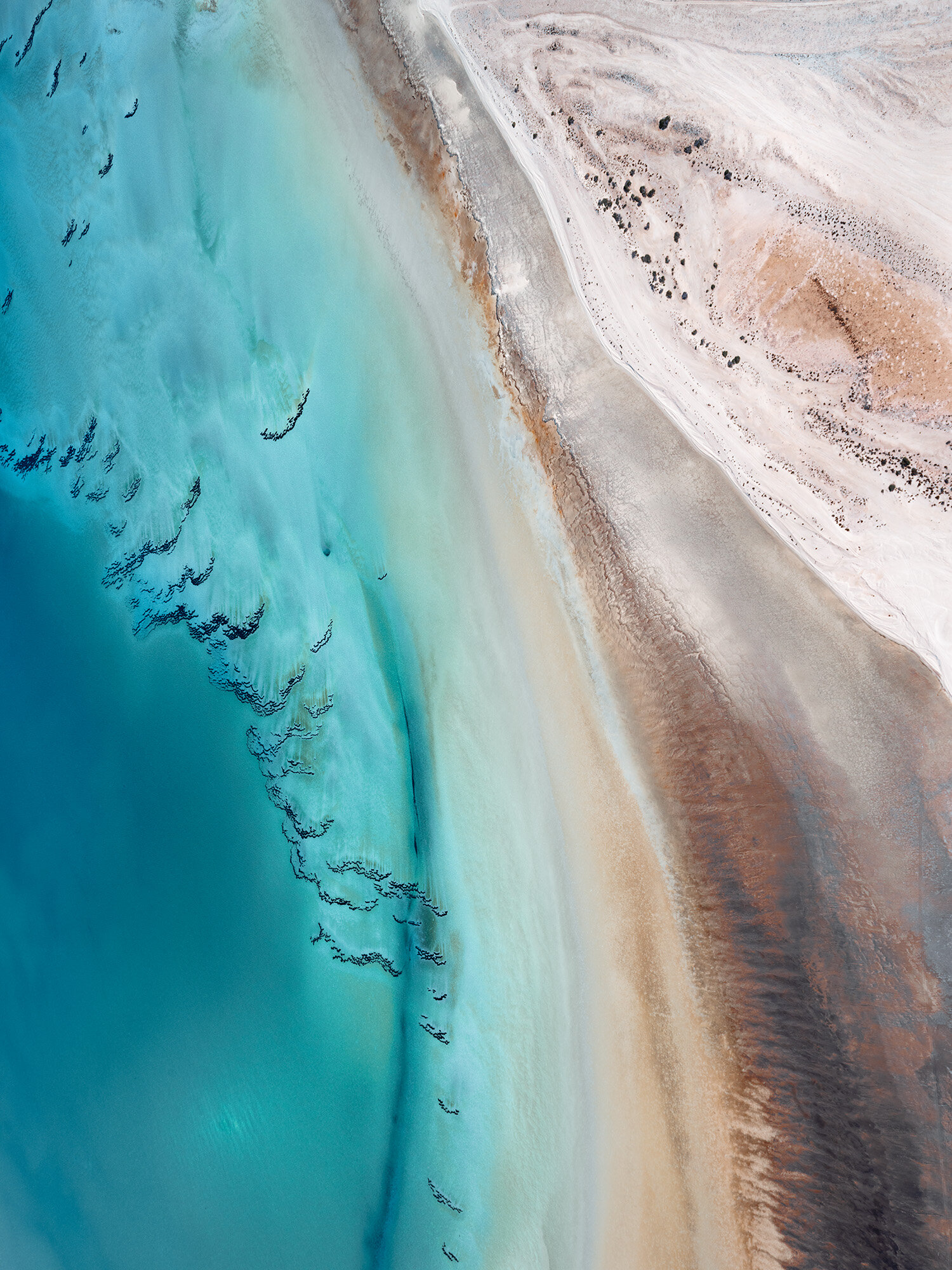 Sandy-Part_2.jpg