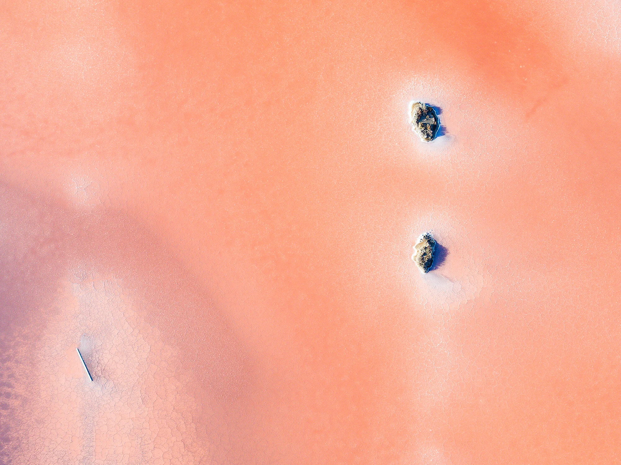 Covered-in-Salt_1.jpg