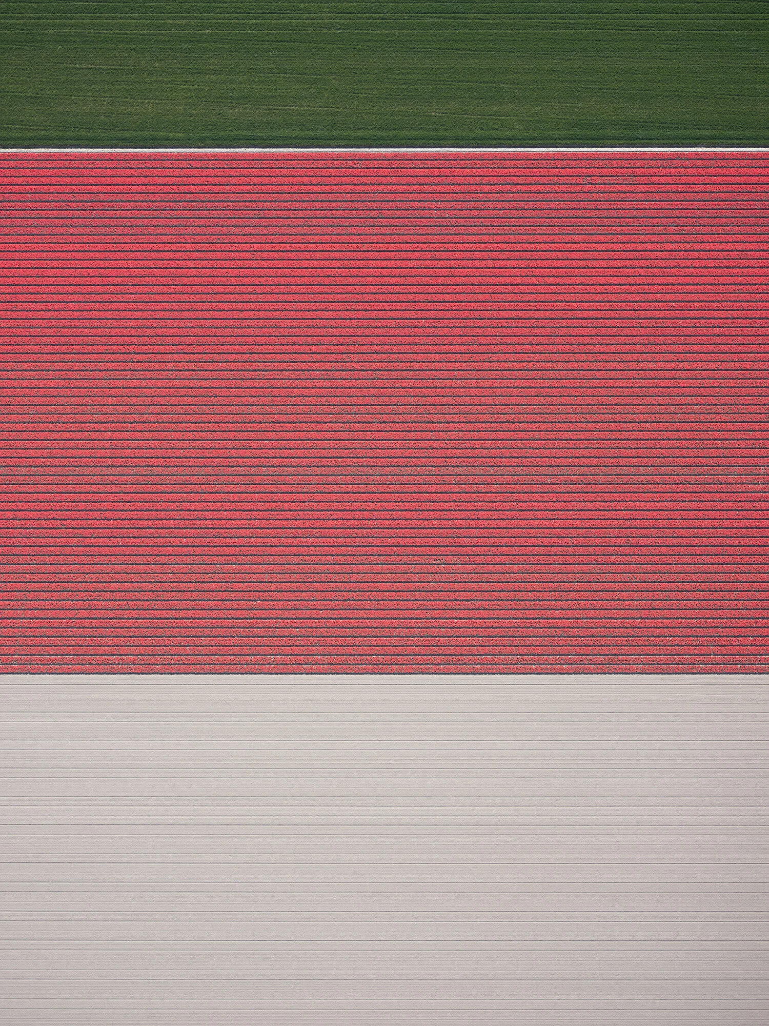 Green_2.jpg