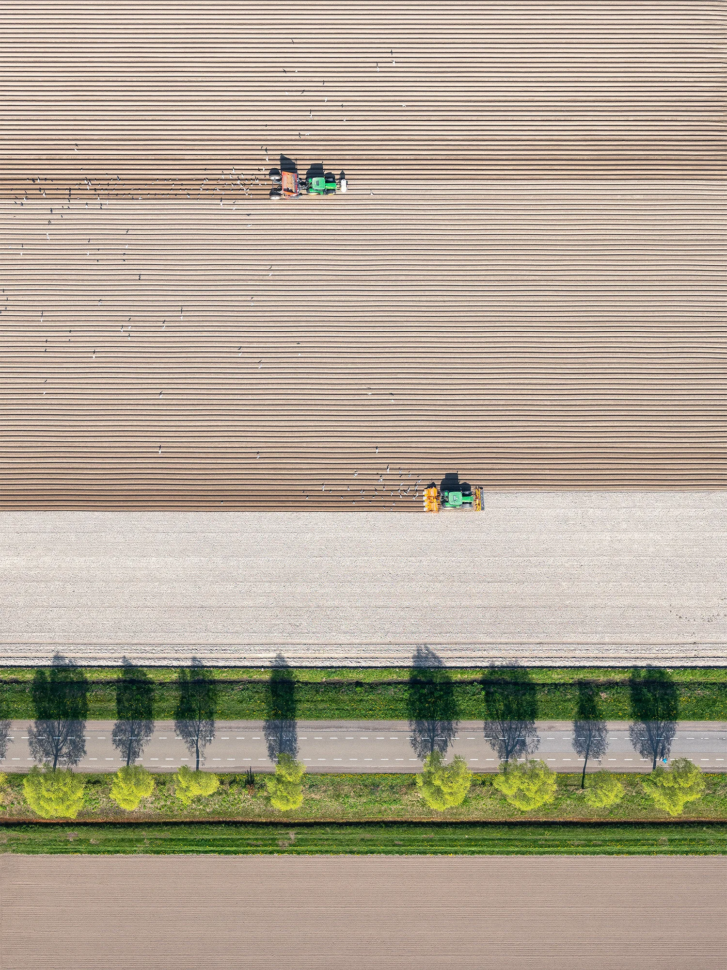 Harvest-Times_2.jpg