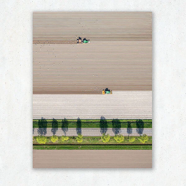 Harvest-Times_1_low.jpg