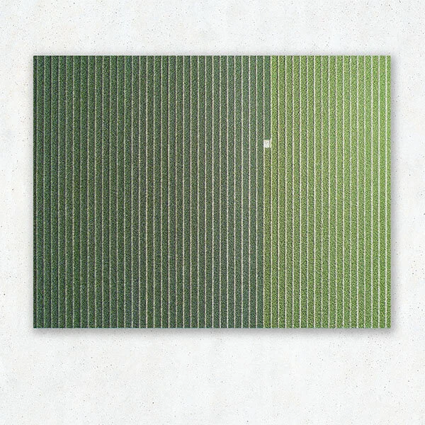 fields_2_low.jpg