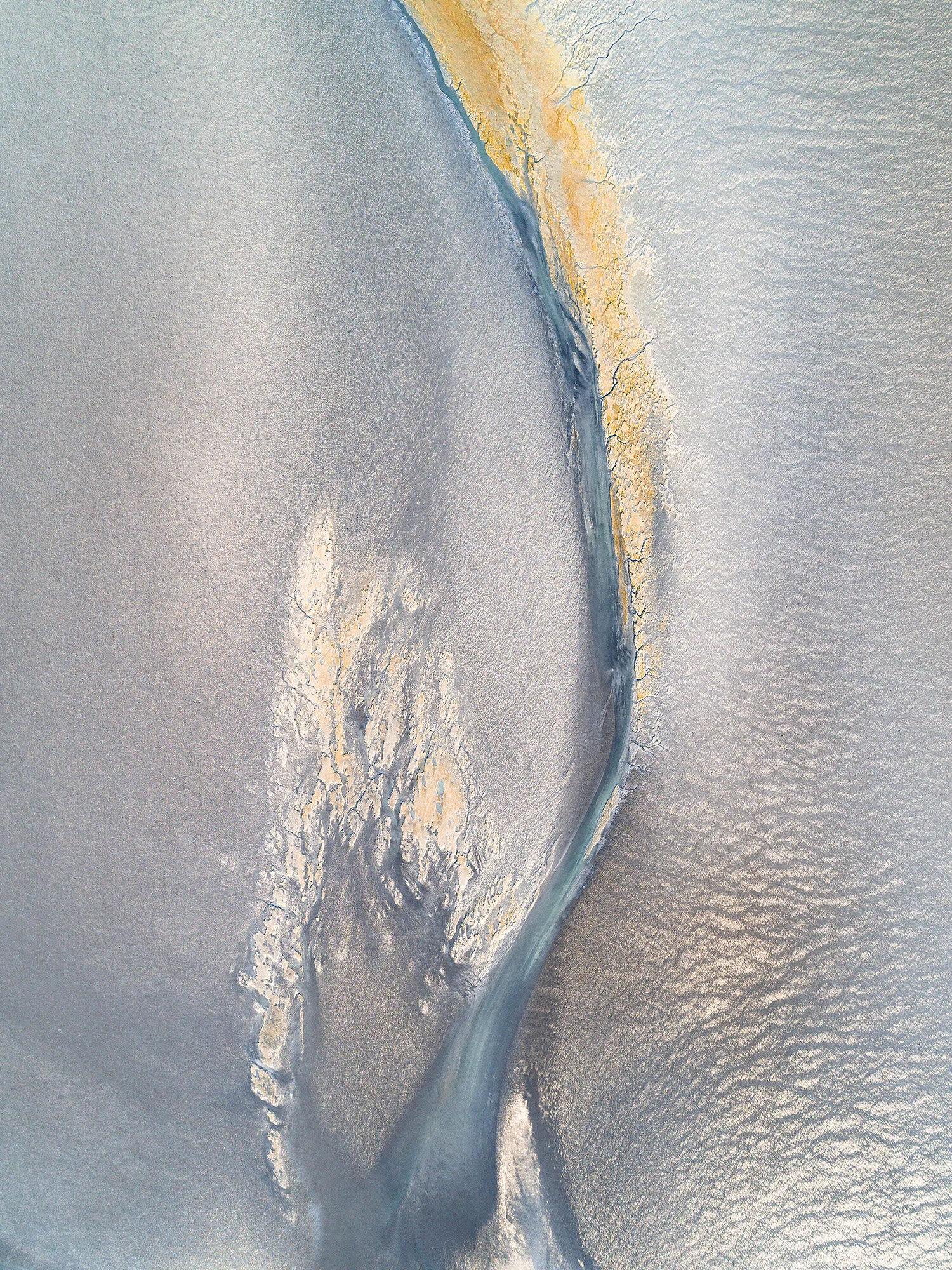 Tidal-Color_2.jpg