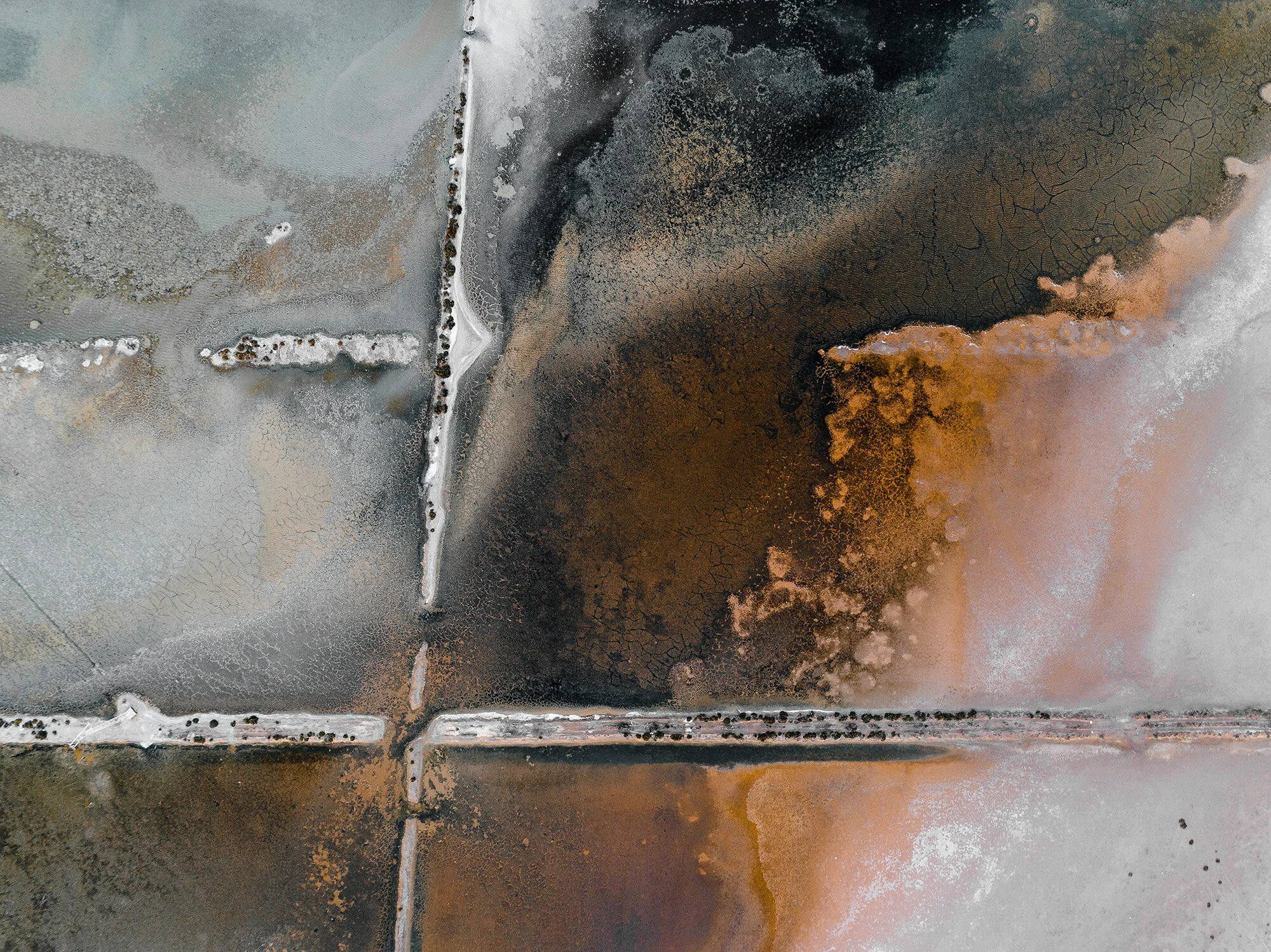 Abandoned-Ponds_1.jpg
