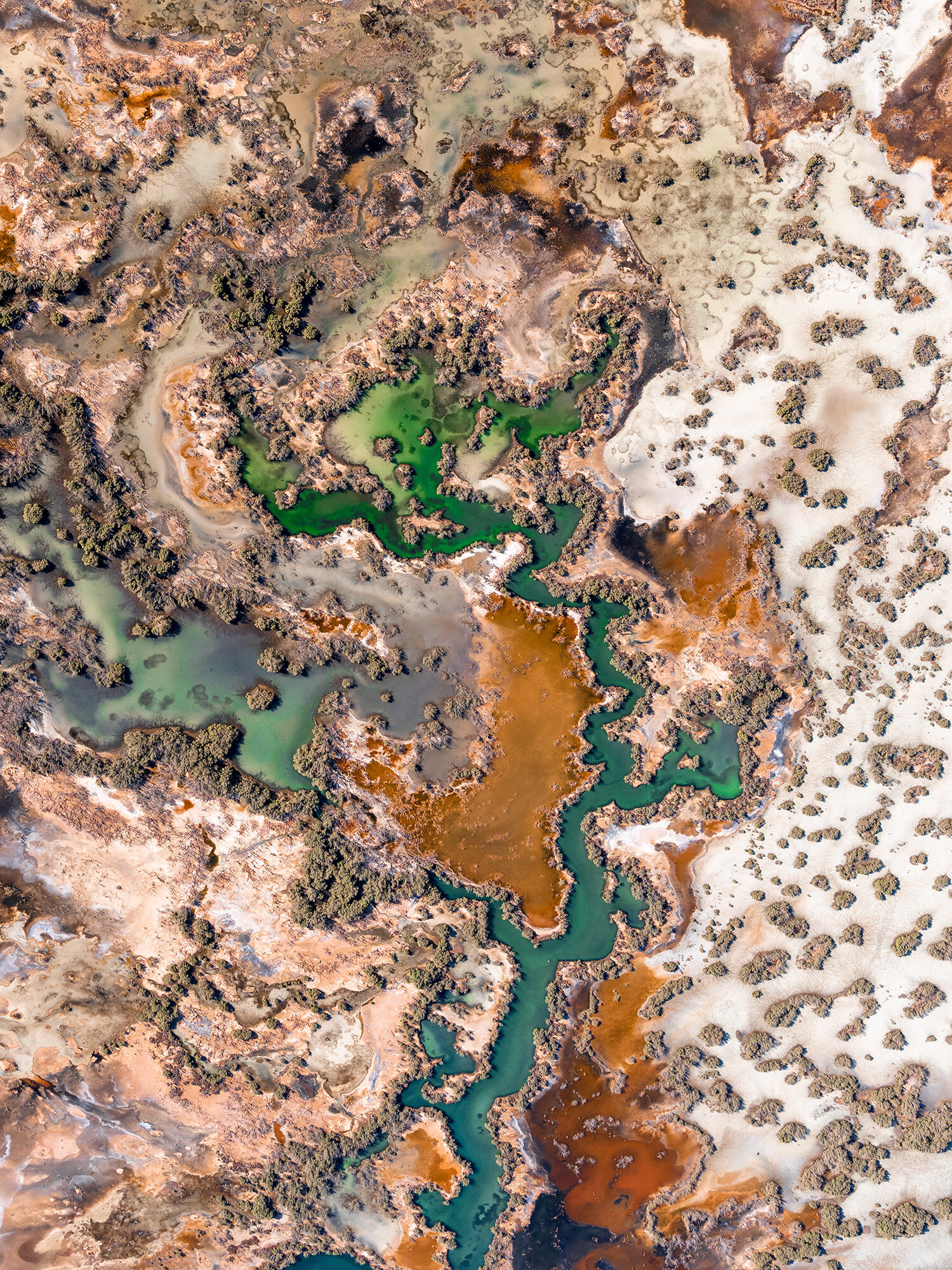 Karst-Rivers_2.jpg