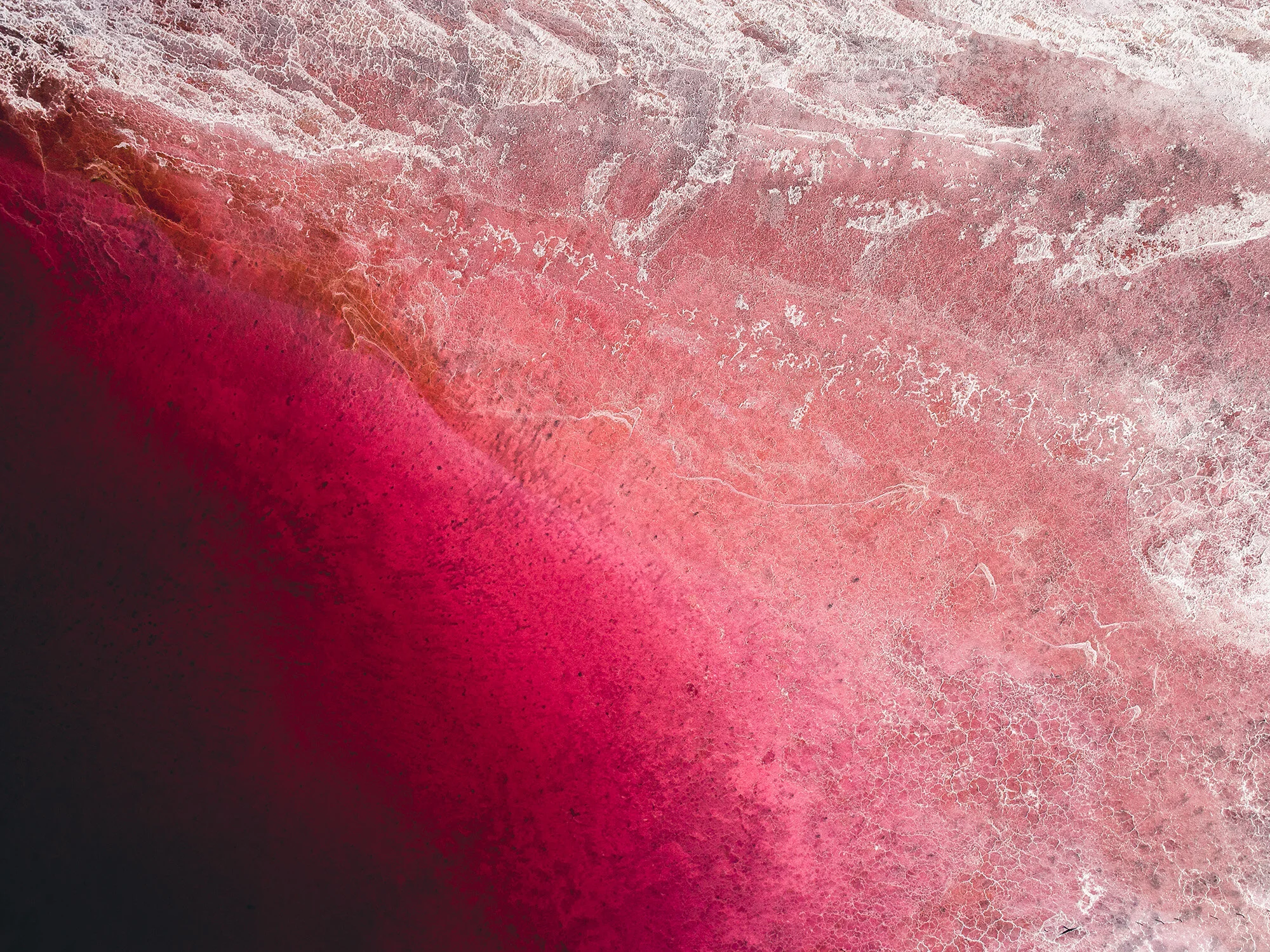 Red-Salt_1.jpg