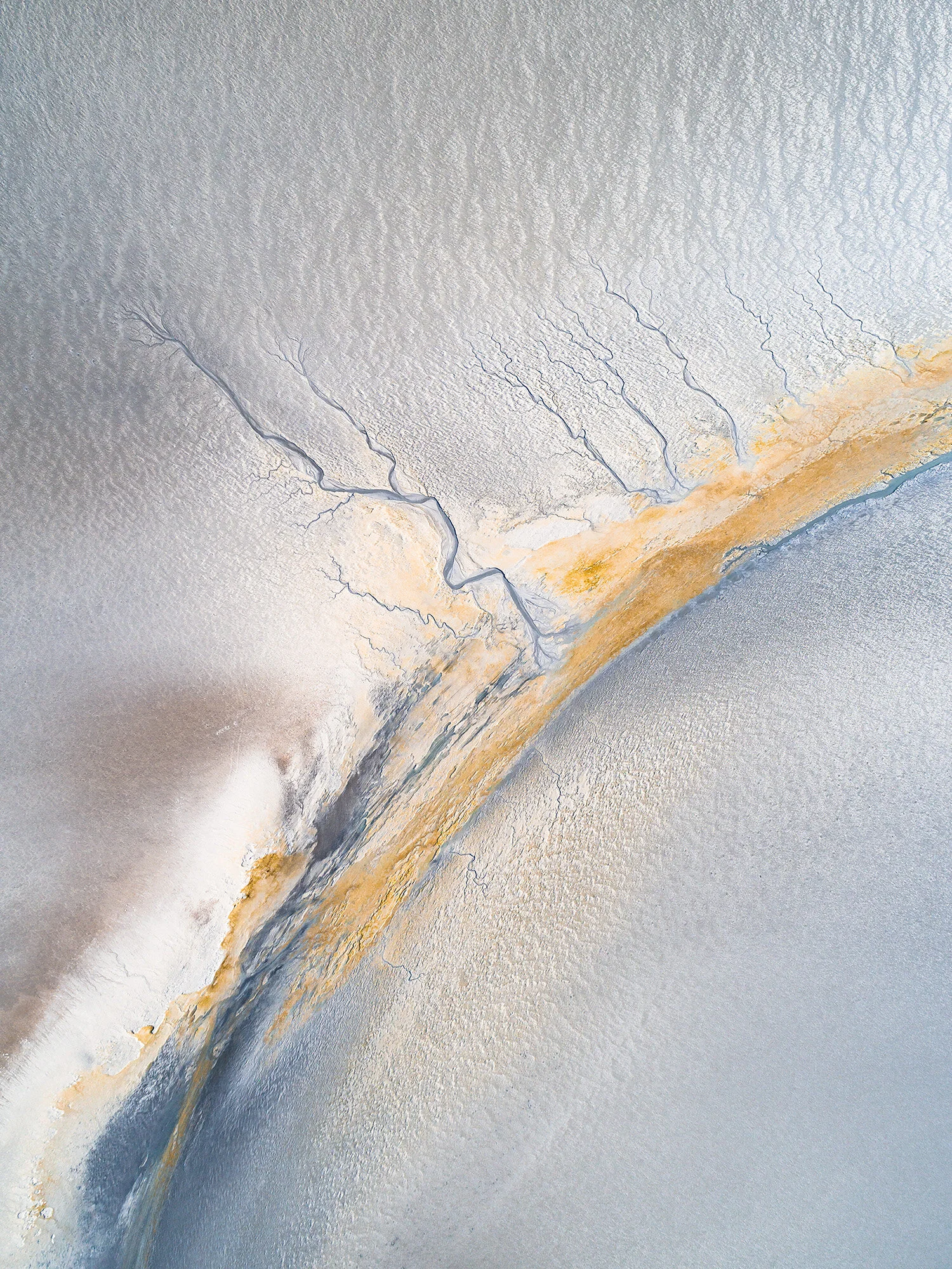 Tidal-Paintings_0.jpg