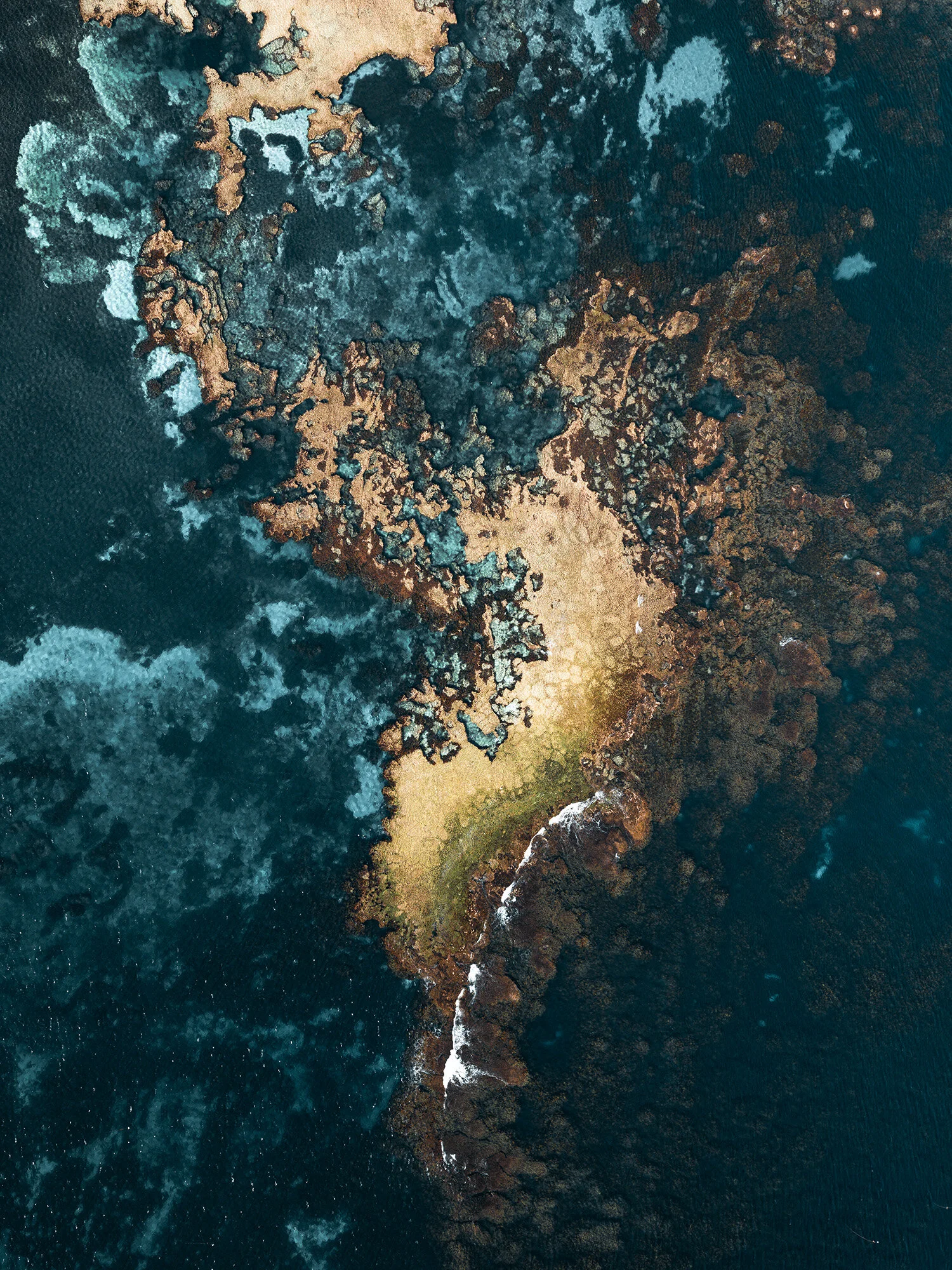 Coral-Island-III_0.jpg
