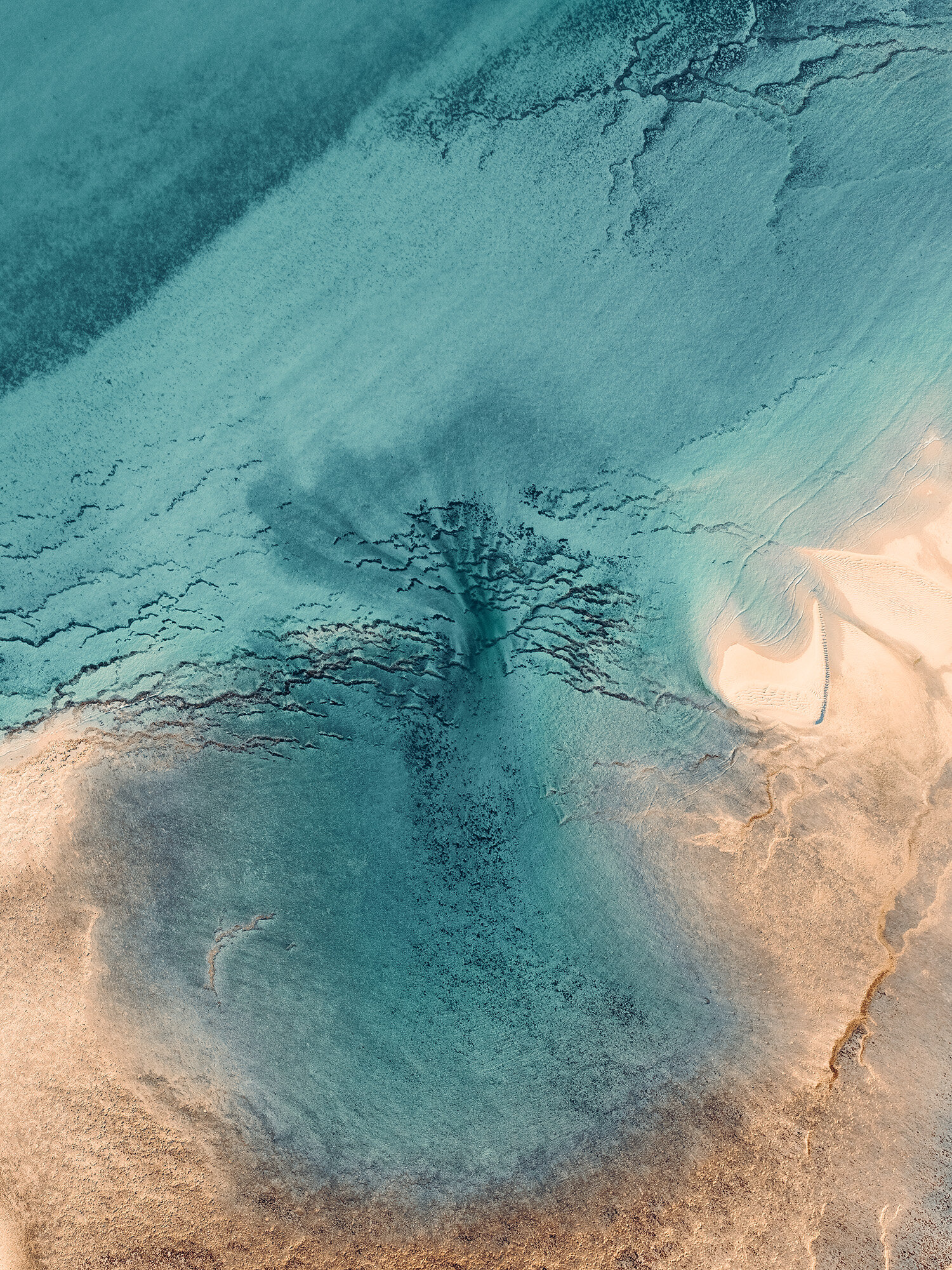 Beneath-the-Ocean-IV_0.jpg