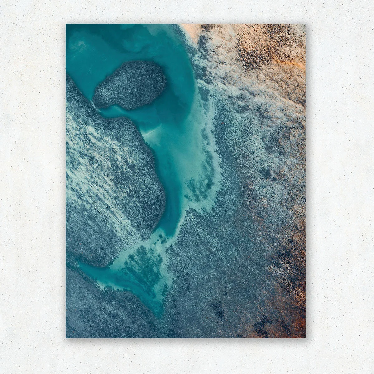 Marine-Ecosystem_1.jpg