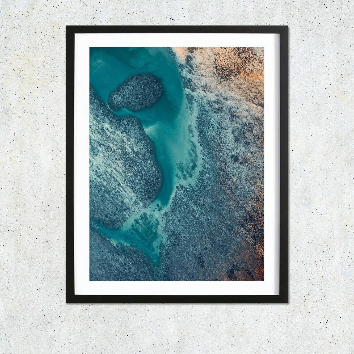 Marine-Ecosystem_4.jpg