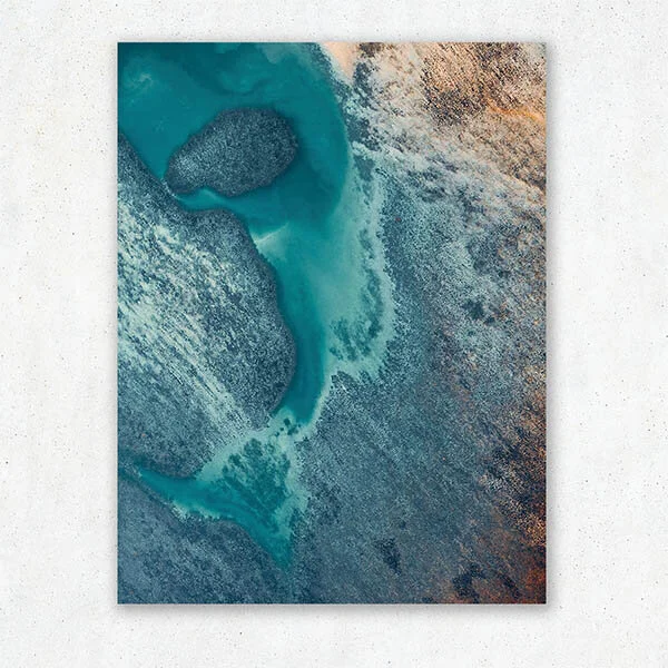 Marine-Ecosystem_1_low.jpg