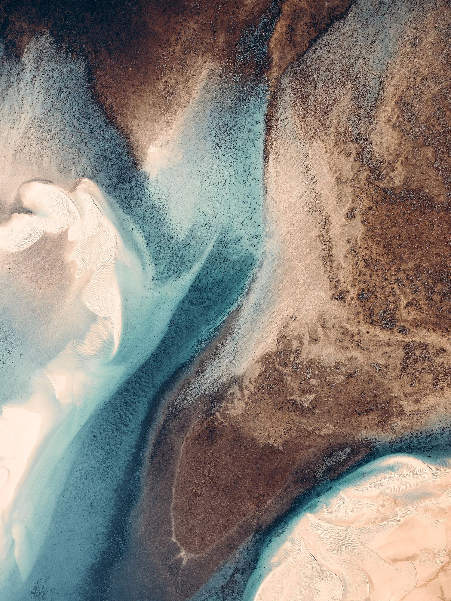 Reef-Shapes-II.jpg