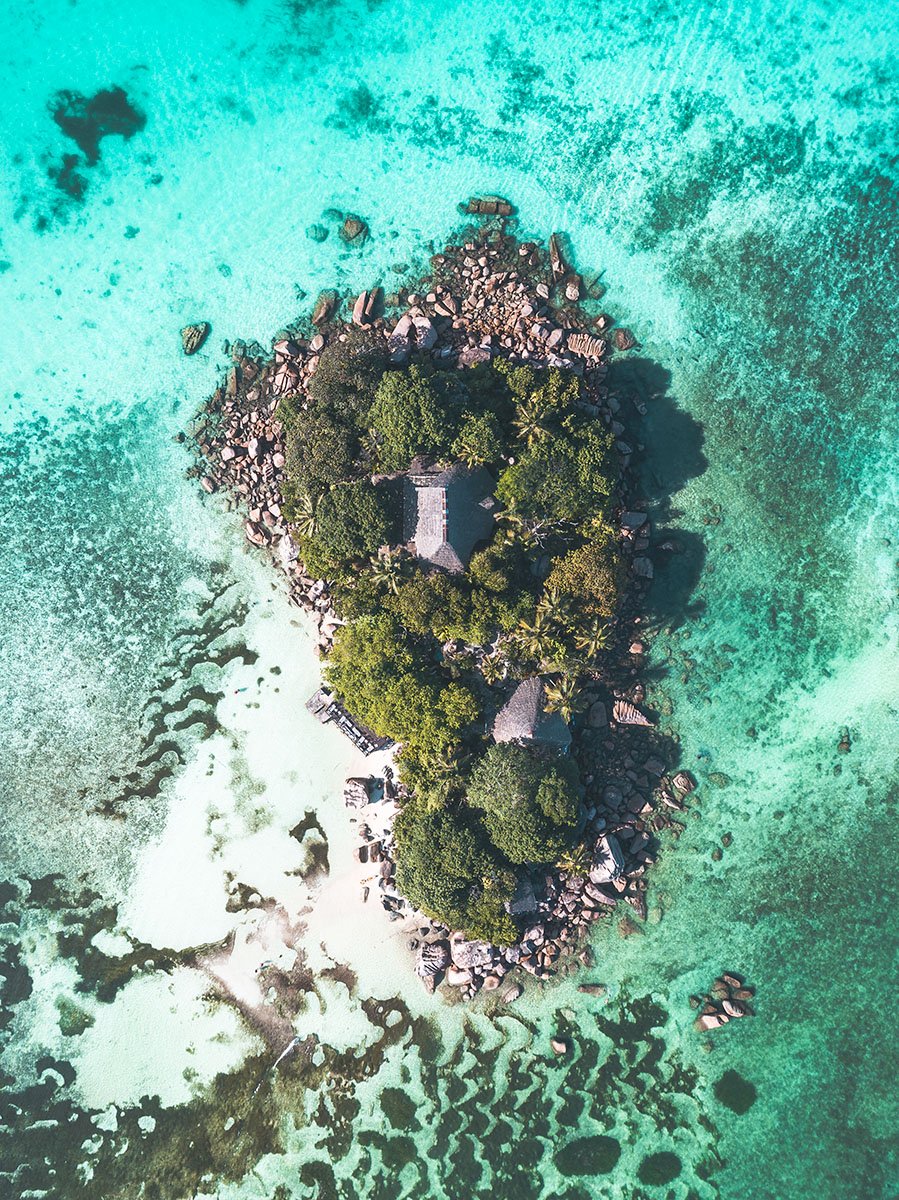 Endangered Paradise II.jpg