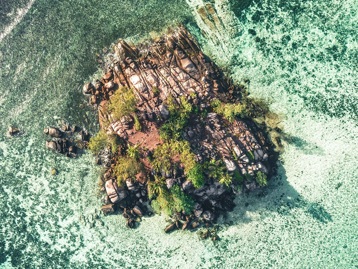 Endangered Paradise-III.jpg
